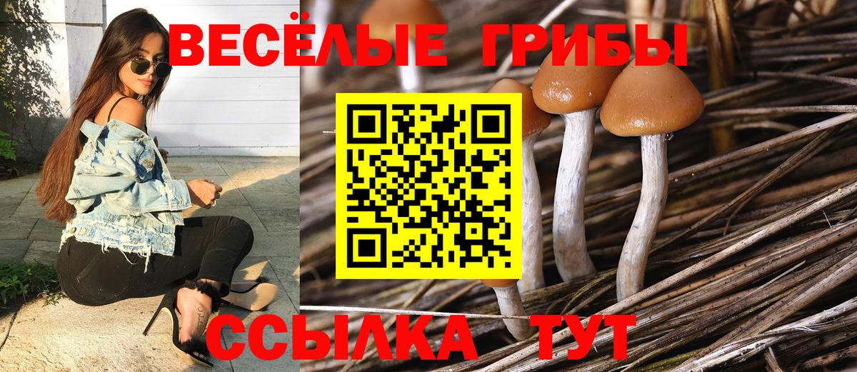Первоуральск  Галлюциногенные грибы Psilocybine cubensis  Галлюциногенные грибы Psilocybe  Вход с VPN 